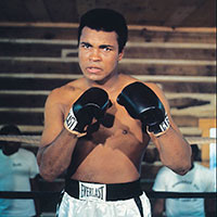 Ali portrait 7