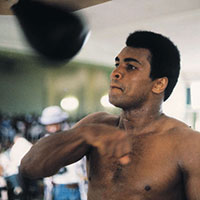 Ali portrait 8